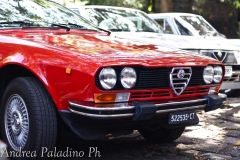 alfetta gtv